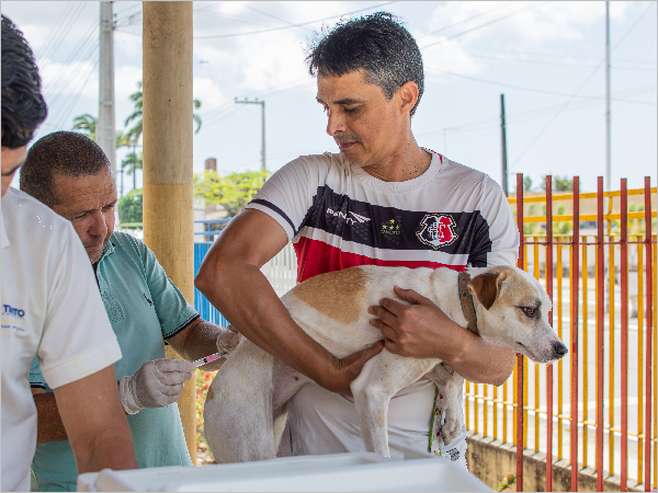 Hoje é o Dia D de Vacinação Animal. Quem ainda não vacinou seu pet pode aproveitar a campanha, que continua neste sábado